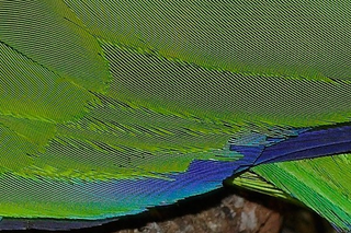 Fuente: Wikimedia Commons.